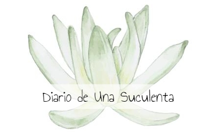 Diario de una suculenta Logotipo tienda online para comprar plantas suculentas